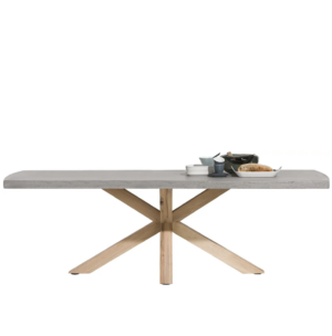 tafel maestro 210x103 met betonnen blad en houten poot cruquius