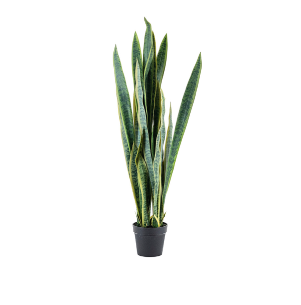 plant sansevieria 132cm - nepplanten byboo cruquius woonaccessoires