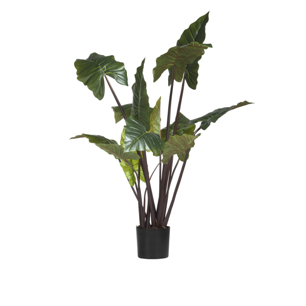 Plant Colocasia groen kunstplanten cocomaison cruquius deruijtermeubel 47945