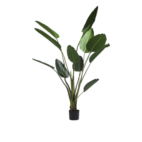 Plant Strelitzia Nicolai cocomaison cruquius kunstplanten groen interieur 44351